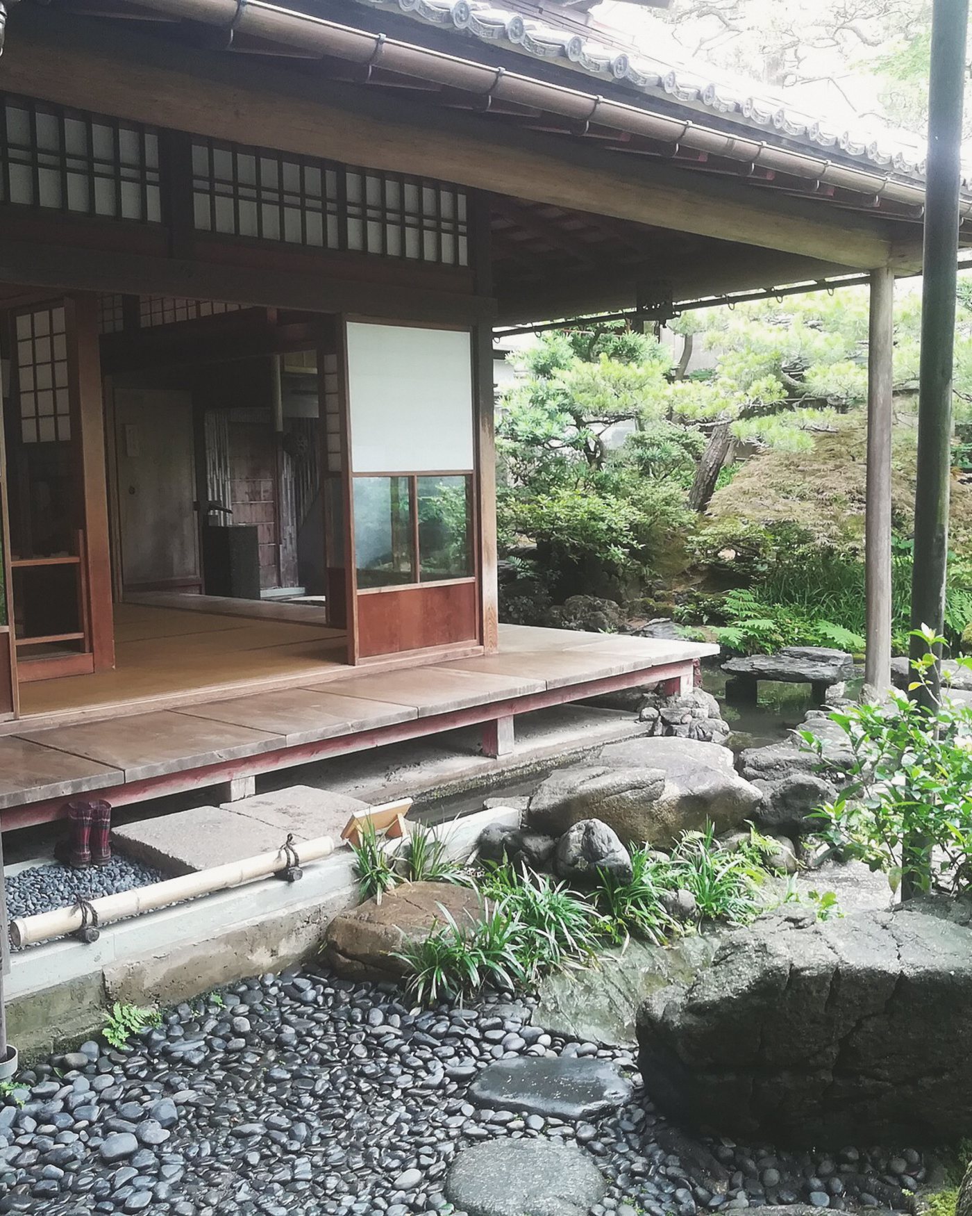 大きな木の下に建つ、縁側のある日本家屋